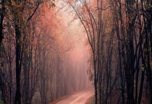 国安主力中卫离队后在新东家爆发，本轮足协杯进球，曾是亚冠MVP