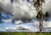 国安主力中卫离队后在新东家爆发，本轮足协杯进球，曾是亚冠MVP