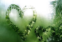 国安主力中卫离队后在新东家爆发，本轮足协杯进球，曾是亚冠MVP