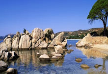 湖人势不可挡：詹姆斯冲击本赛季MVP，推动湖人豪取七连胜